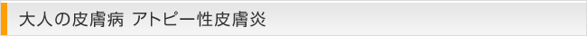 大人の皮膚病 アトピー性皮膚炎