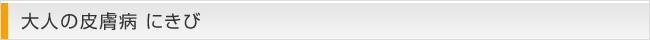 大人の皮膚病 にきび