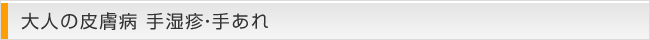 大人の皮膚病 手湿疹・手あれ
