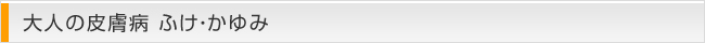 大人の皮膚病 ふけ・かゆみ